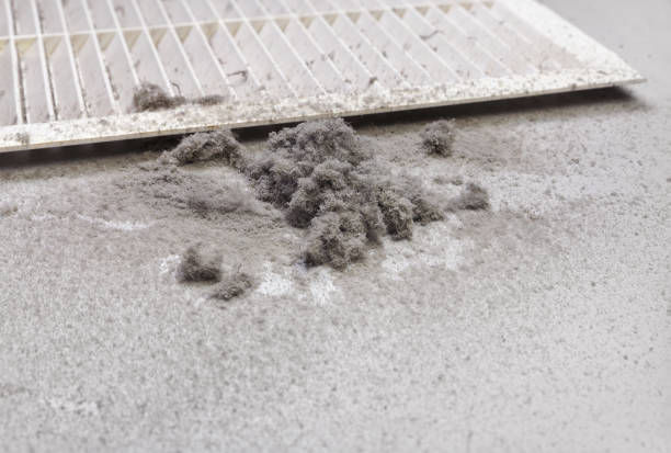 Best Air Duct Cleaning Near Me  in Weldon Spring, MO