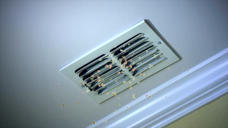 Best Residential Air Duct Cleaning  in Weldon Spring, MO