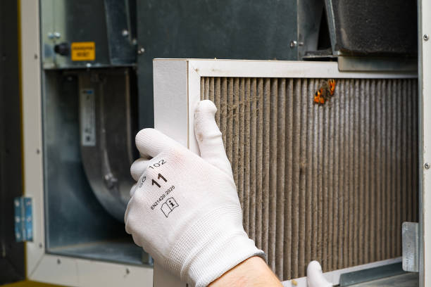 Best Local Air Duct Cleaning Services  in Weldon Spring, MO