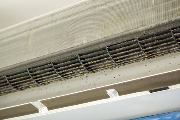 Best Affordable Air Duct Cleaning  in Weldon Spring, MO
